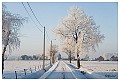Sneeuwlandschap Winter 2